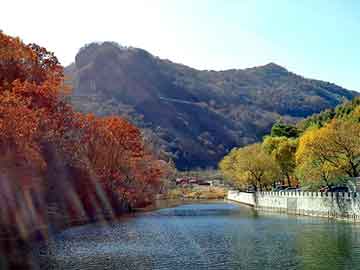 新澳天天彩免费资料大全查询，六道沉沦